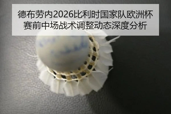 de-bu-lao-nei-bi-li-shi-guo-jia-dui-ou-zhou-bei-sai-qian-zhong-chang-zhan-shu-tiao-zheng-dong-tai-shen-du-fen-xi-2-930.jpg